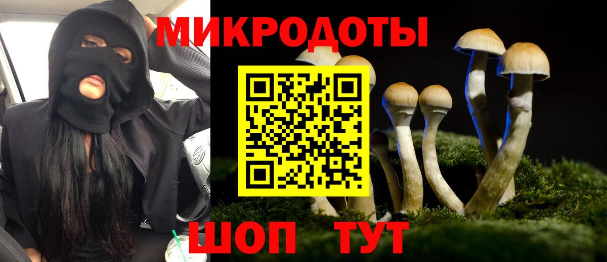 Ржев  Псилоцибиновые грибы MAGIC MUSHROOMS  Вход с VPN 